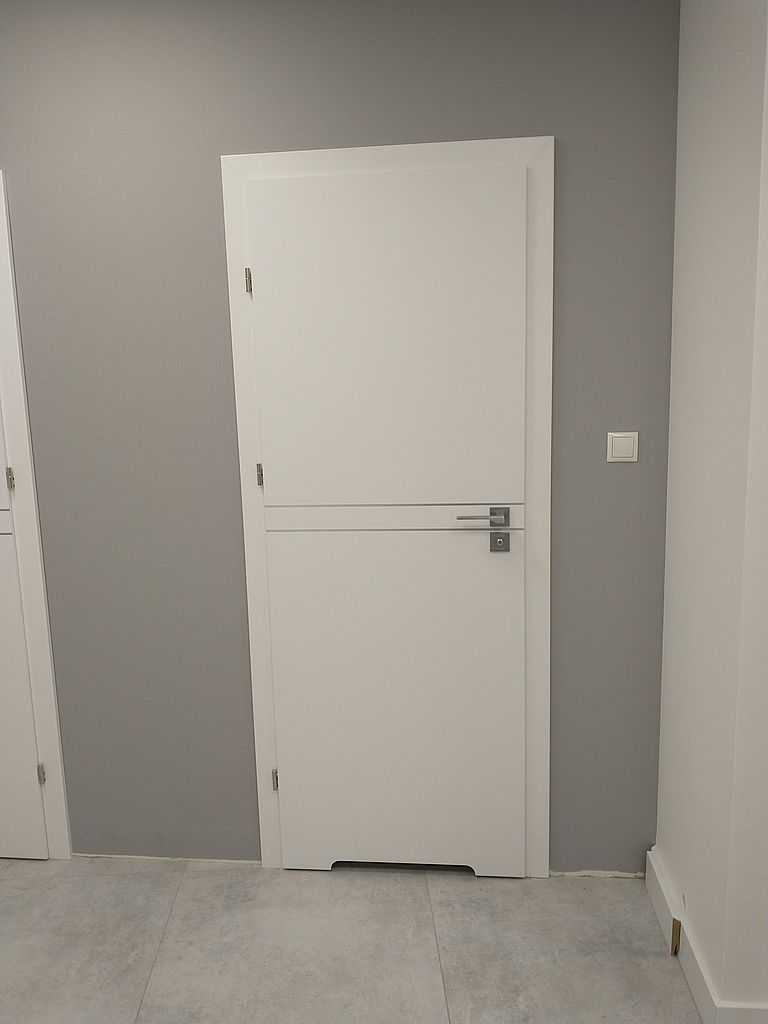 Drzwi ze srebrnym paskiem Szczecin 04